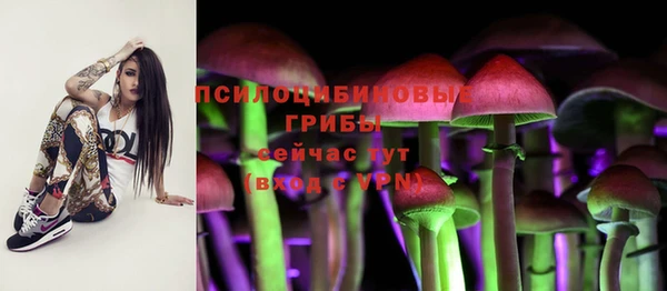 Альфа ПВП Алзамай