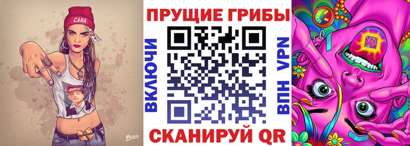 Галлюциногенные грибы Cubensis Бердск