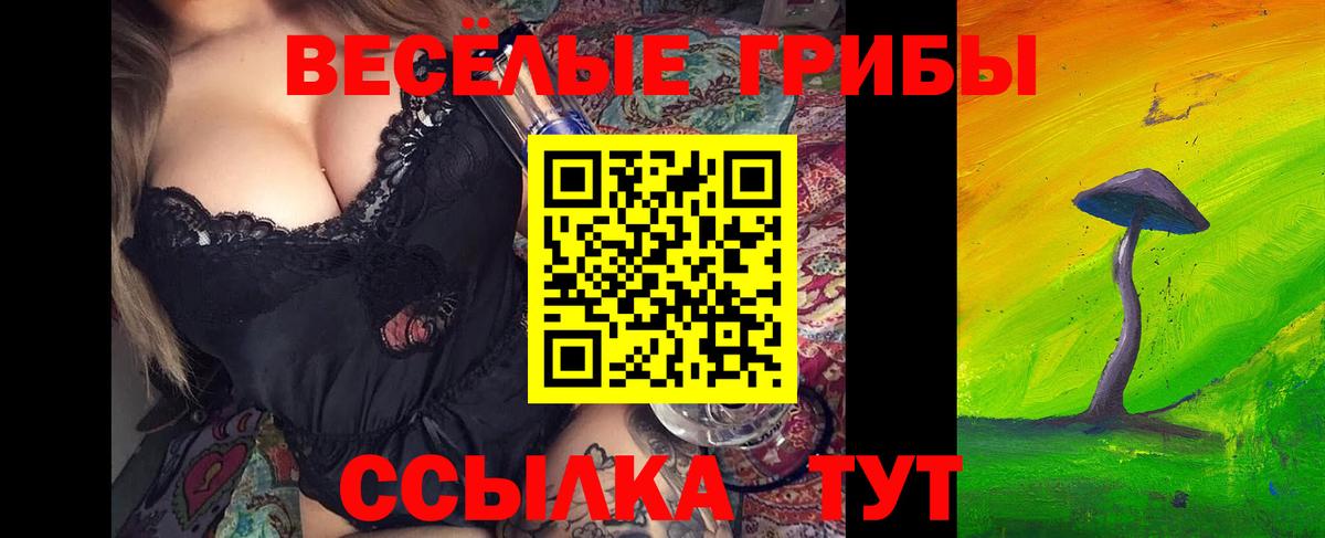 Псилоцибиновые грибы Psilocybine cubensis  Вход с VPN  Бердск 